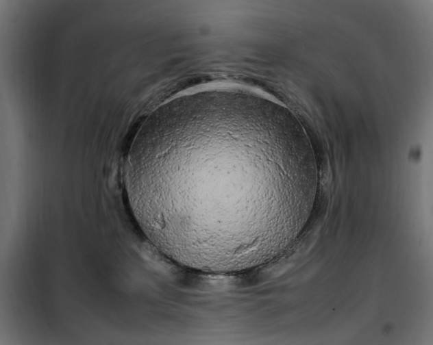 X0000100490233200806201700