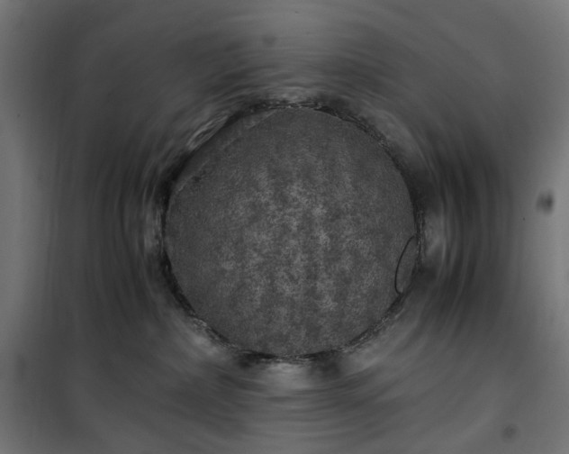 X0000100490236200806201700