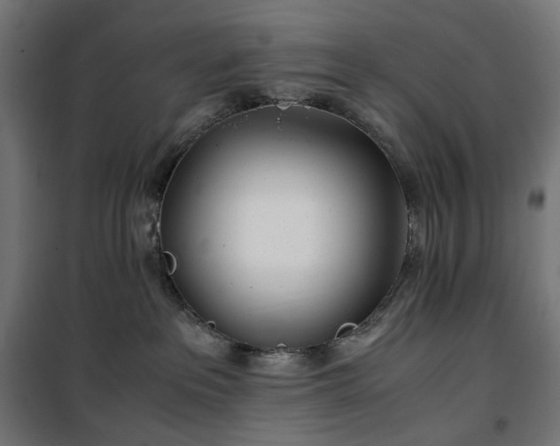 X0000100490237200806201700