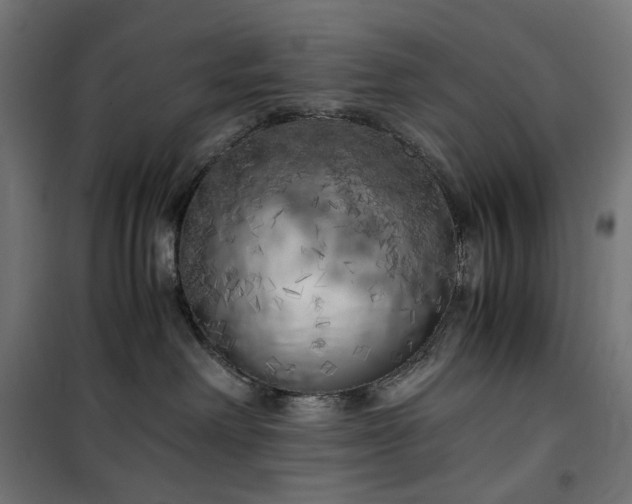 X0000100490238200806201700