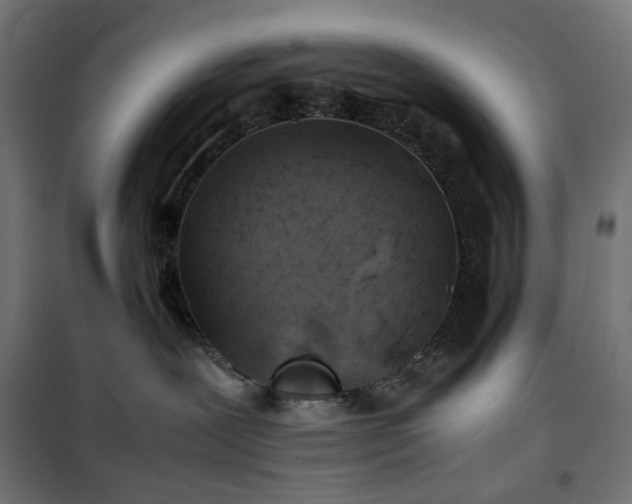 X0000100490239200806201700