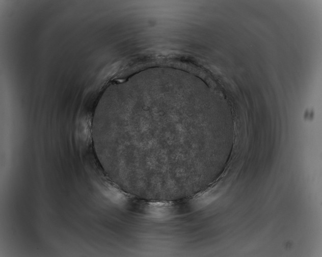 X0000100490240200806201700