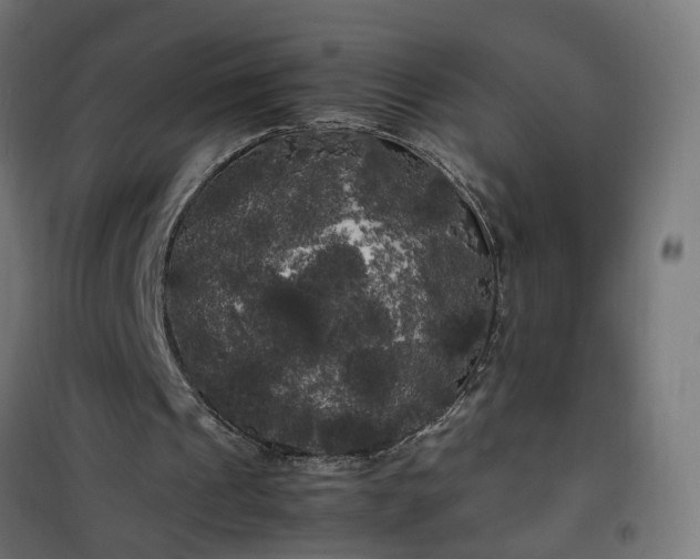 X0000100490241200806201659