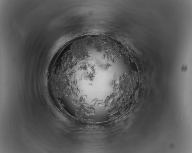 X0000100490242200806201659