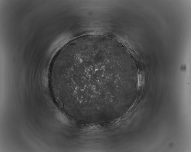 X0000100490243200806201659