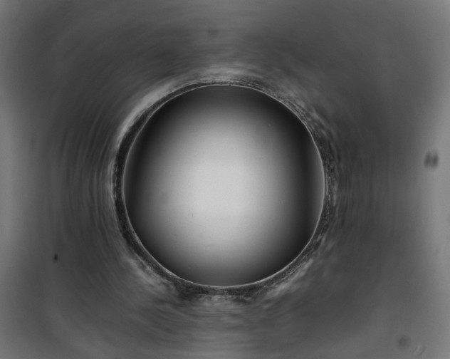 X0000100490244200806201659