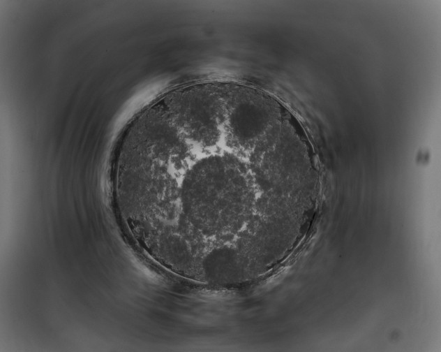 X0000100490245200806201659