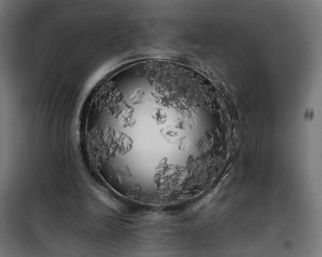 X0000100490246200806201659