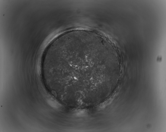 X0000100490247200806201659