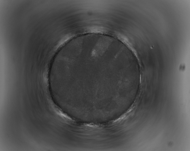 X0000100490249200806201659