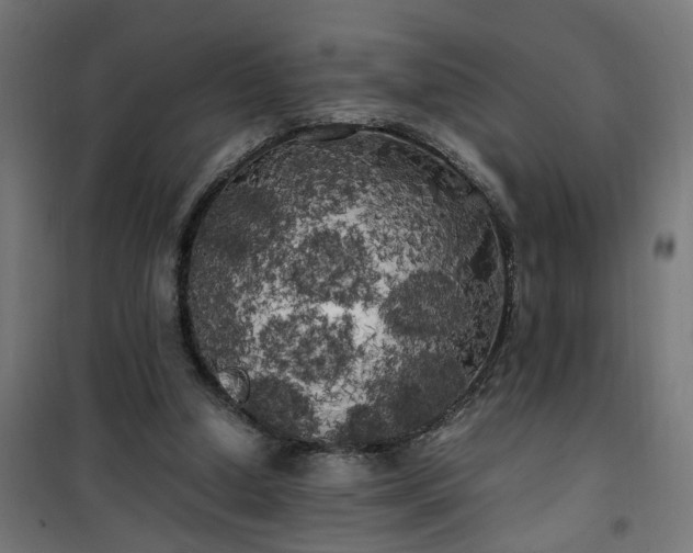 X0000100490250200806201659