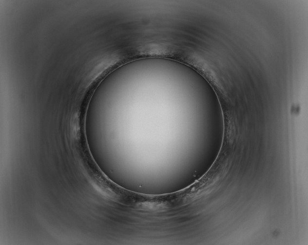 X0000100490251200806201659