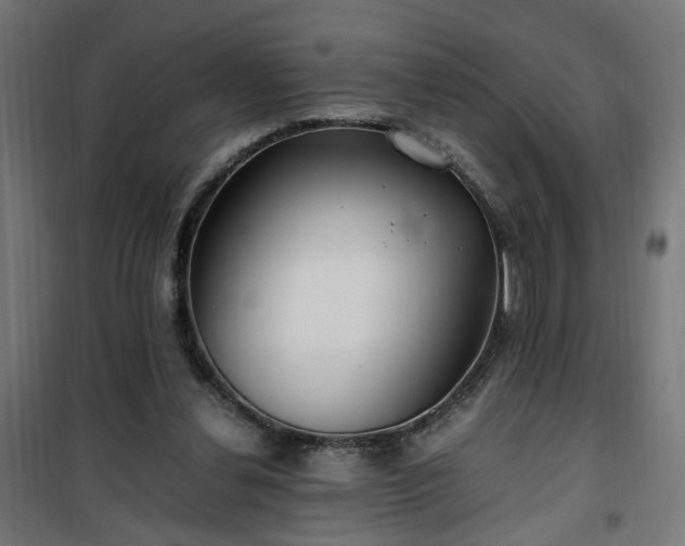 X0000100490252200806201659