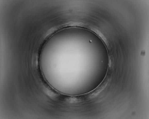 X0000100490253200806201659