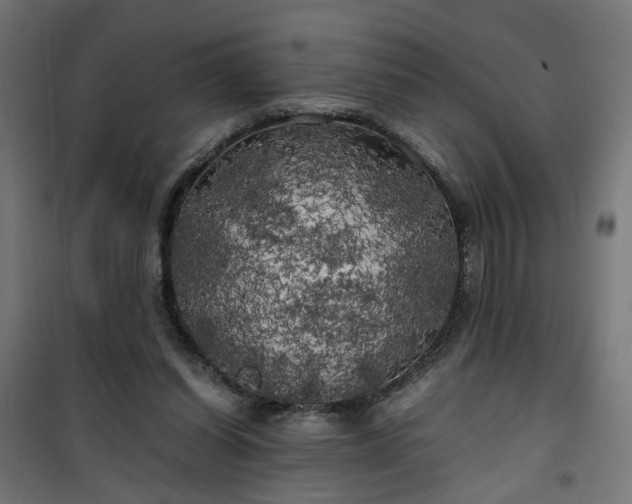 X0000100490254200806201659