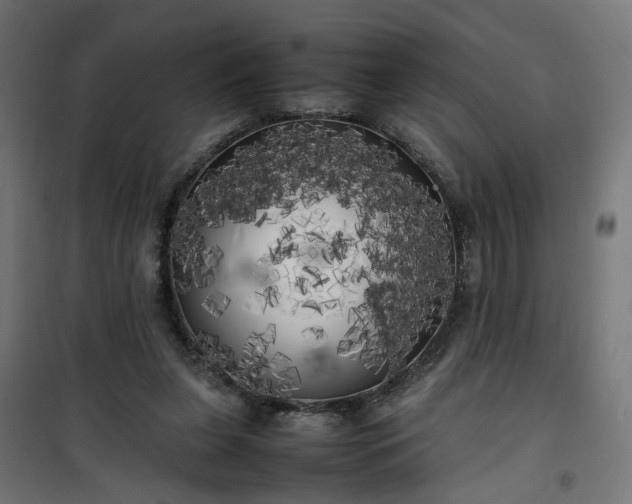 X0000100490255200806201659