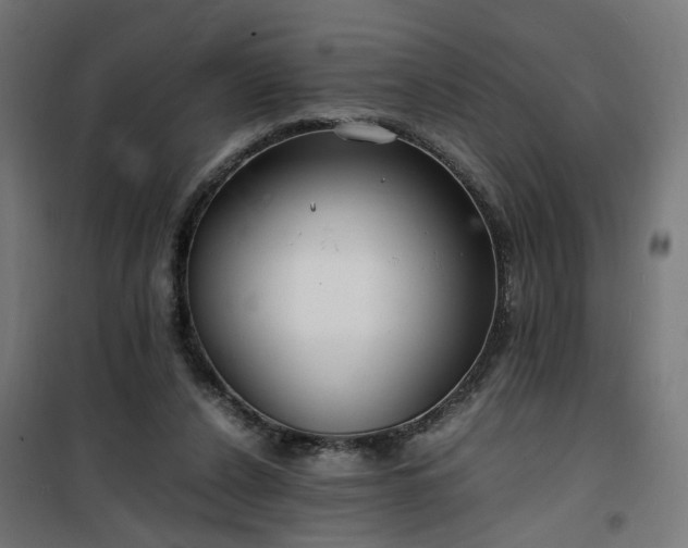 X0000100490256200806201659