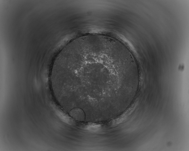 X0000100490257200806201659