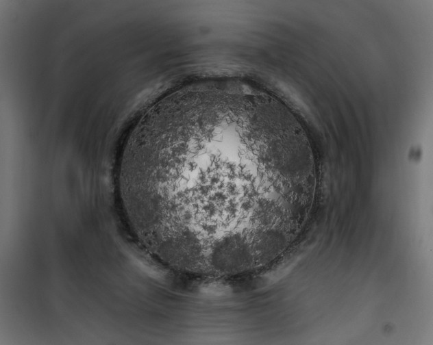 X0000100490258200806201659