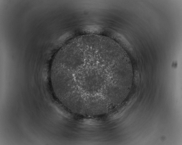 X0000100490259200806201659