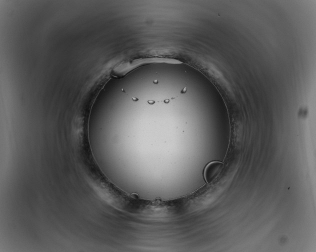 X0000100490260200806201659