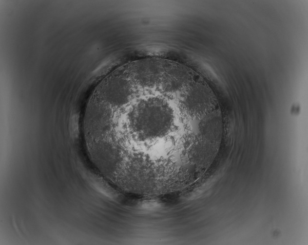 X0000100490262200806201659