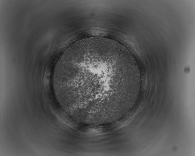 X0000100490263200806201659