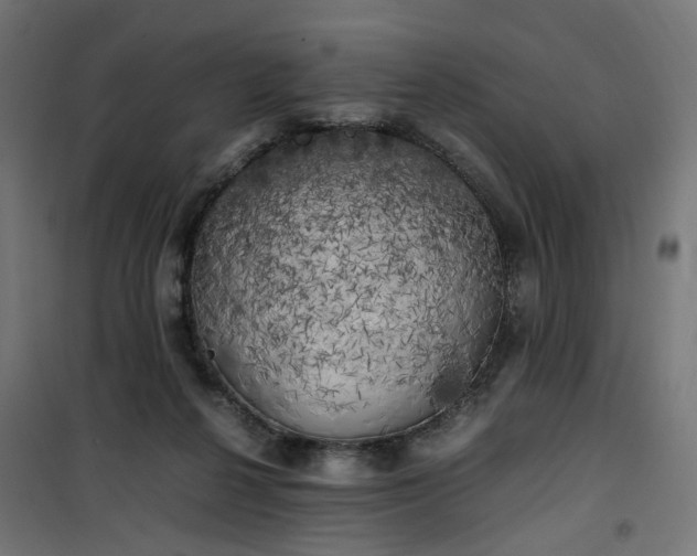 X0000100490264200806201659