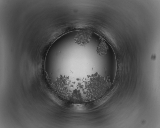X0000100490265200806201659