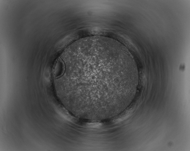 X0000100490266200806201659