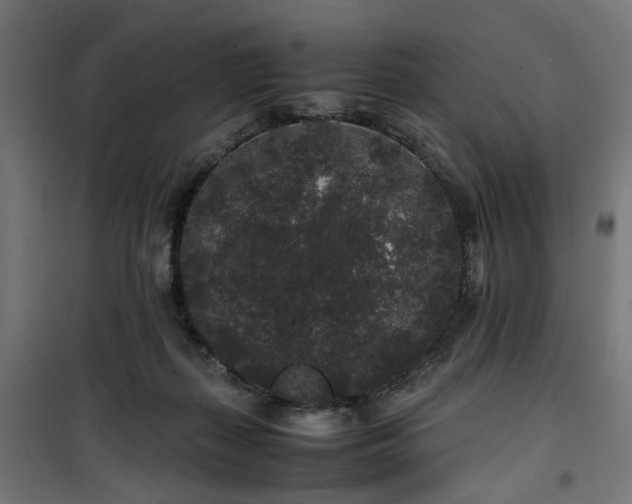 X0000100490267200806201659