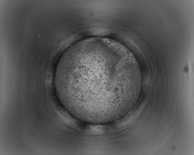 X0000100490268200806201659