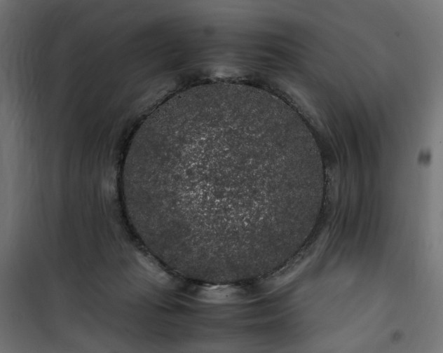 X0000100490269200806201659