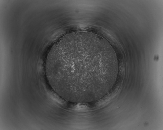 X0000100490270200806201659