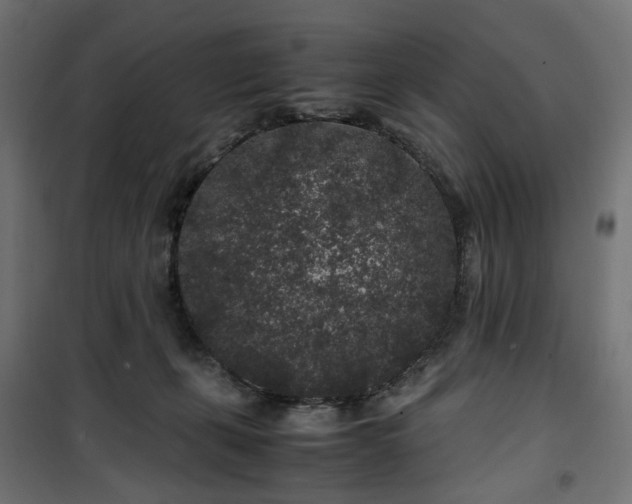 X0000100490271200806201659