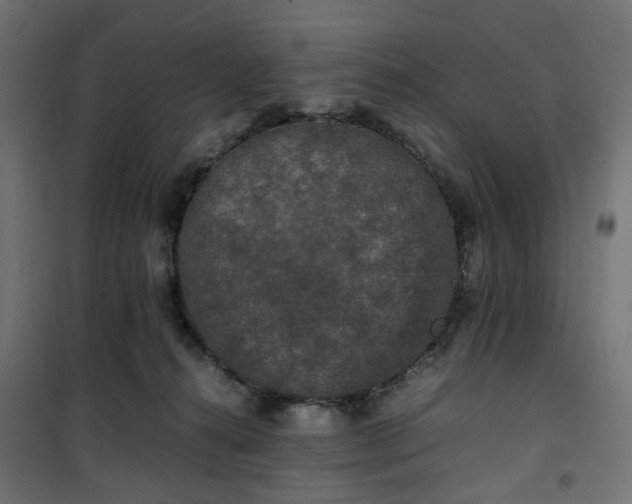 X0000100490272200806201659