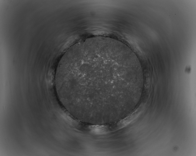 X0000100490273200806201659