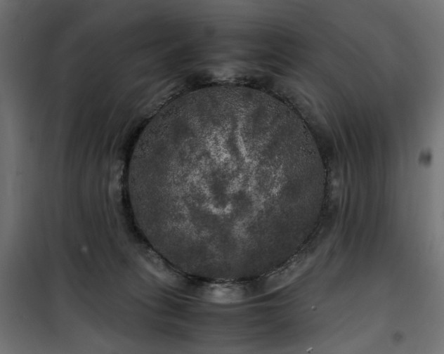 X0000100490275200806201659