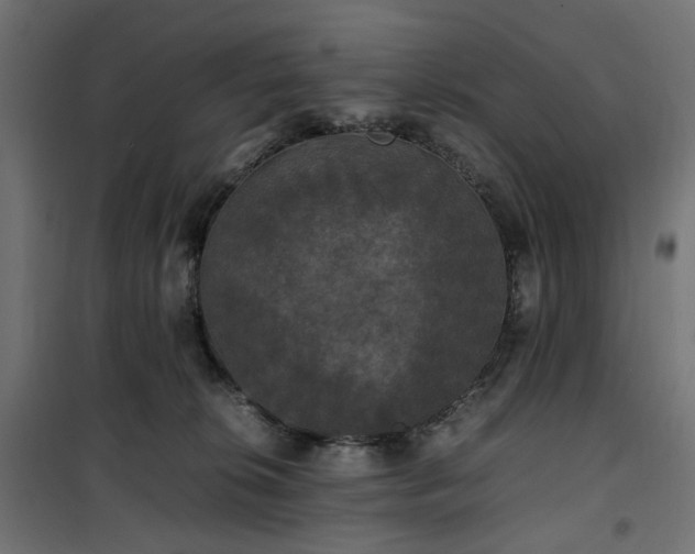 X0000100490276200806201659