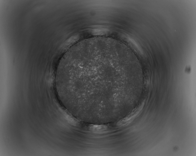 X0000100490277200806201659