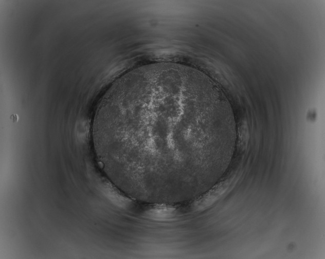 X0000100490278200806201659