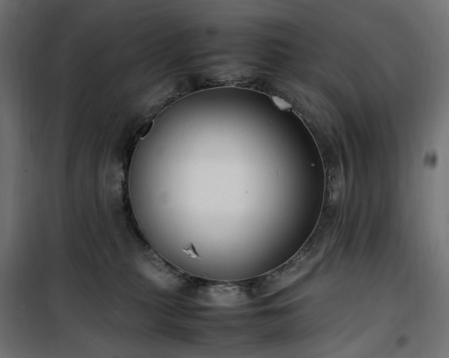 X0000100490279200806201659