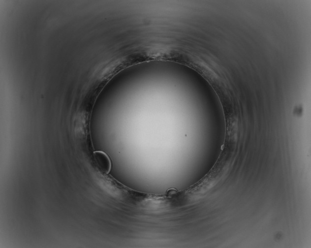 X0000100490280200806201659