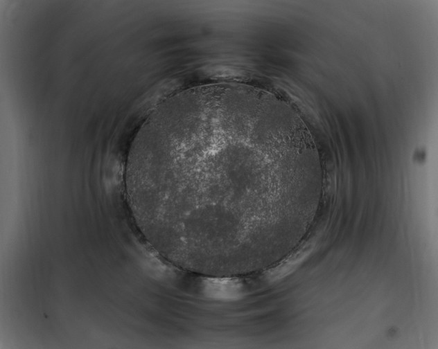 X0000100490281200806201659