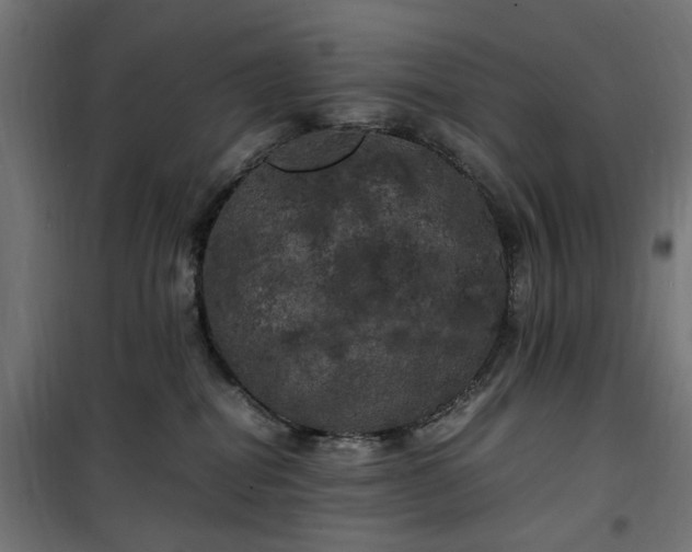 X0000100490282200806201659