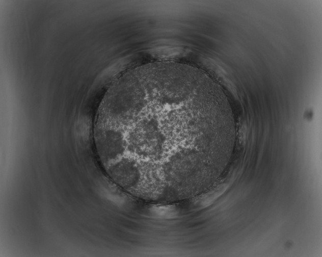 X0000100490283200806201700