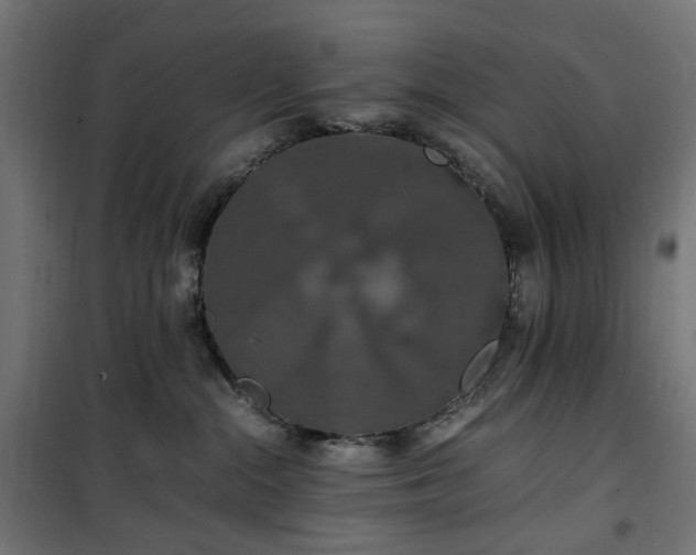 X0000100490284200806201700