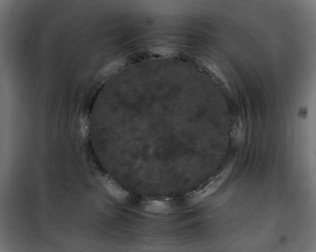 X0000100490285200806201700