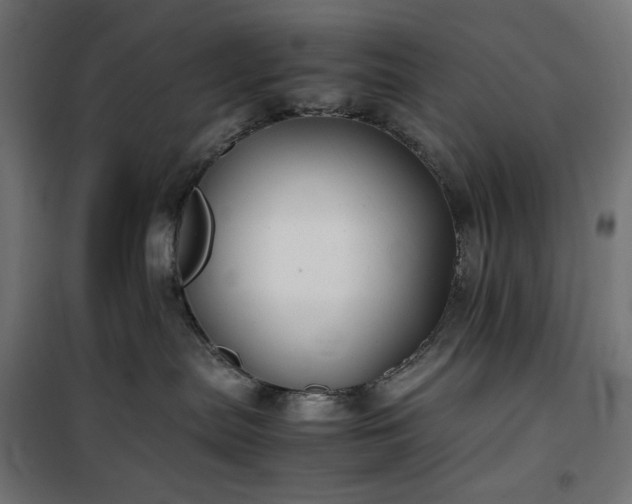 X0000100490287200806201700