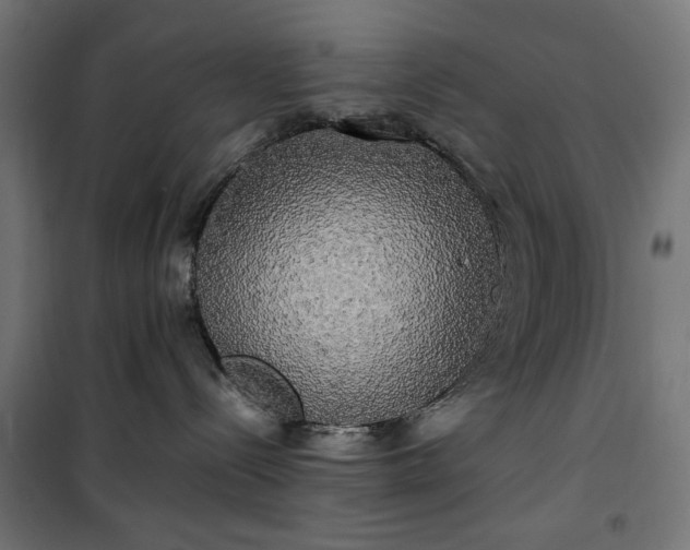 X0000100490288200806201700